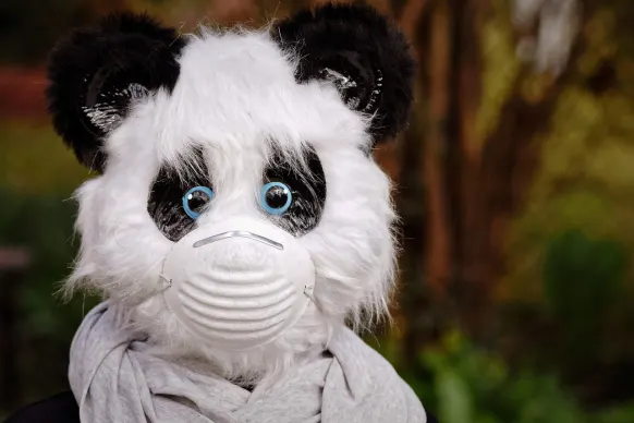 Oppa88888888 Kaszinó Támogatás